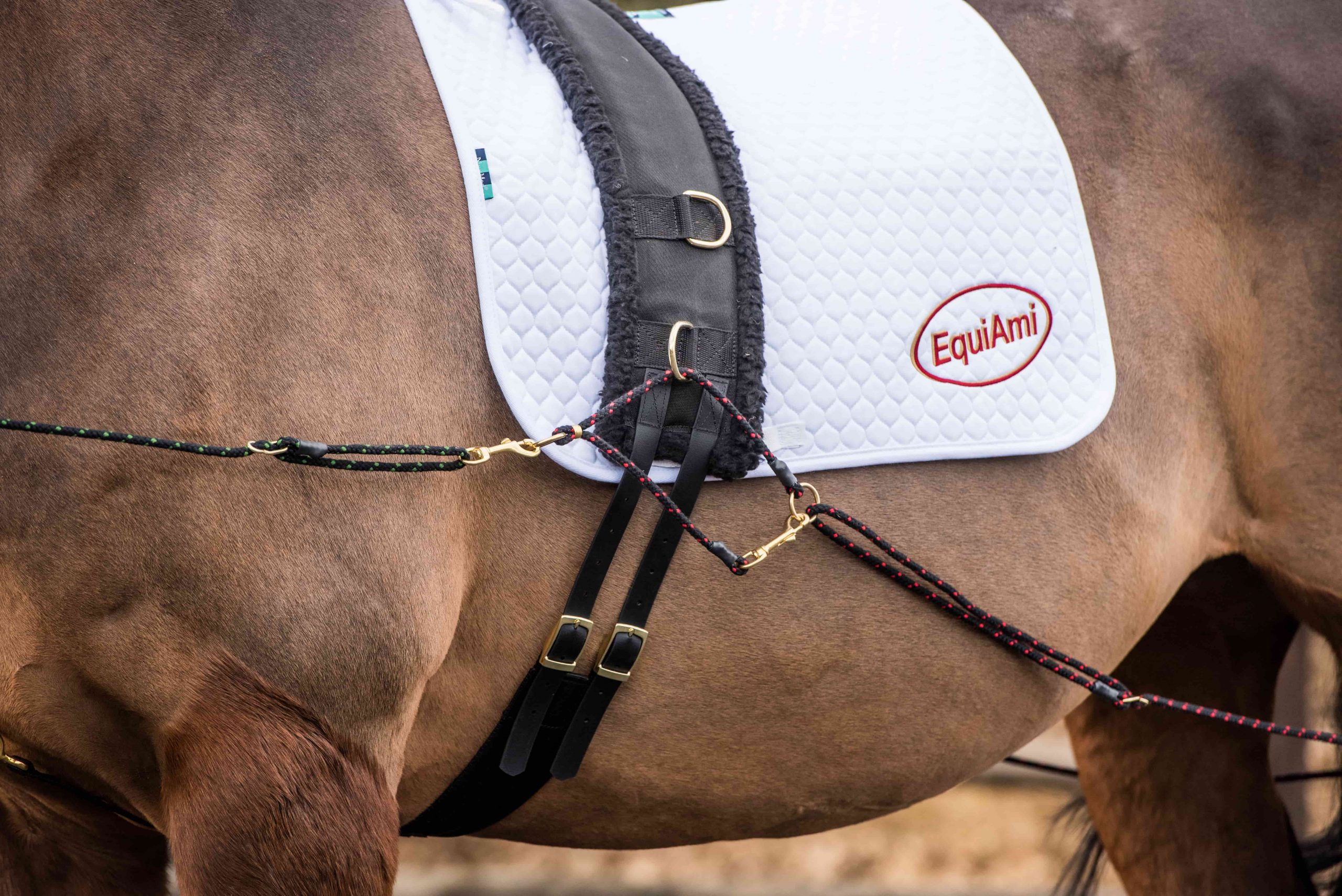 How the EquiAmi can help with the effective rehabilitation of horses