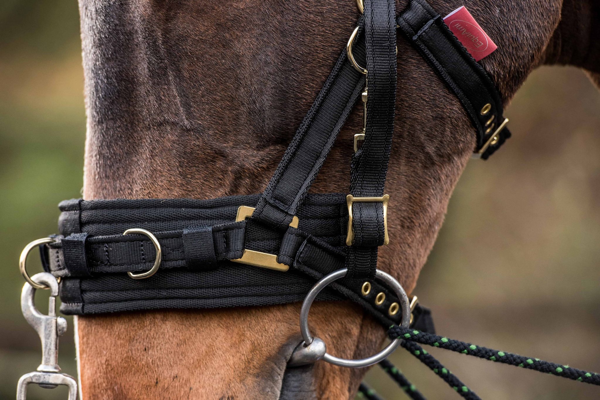 EquiAmi Lunge Cavesson EquiAmi