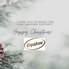 Merry Christmas from the EquiAmi team!