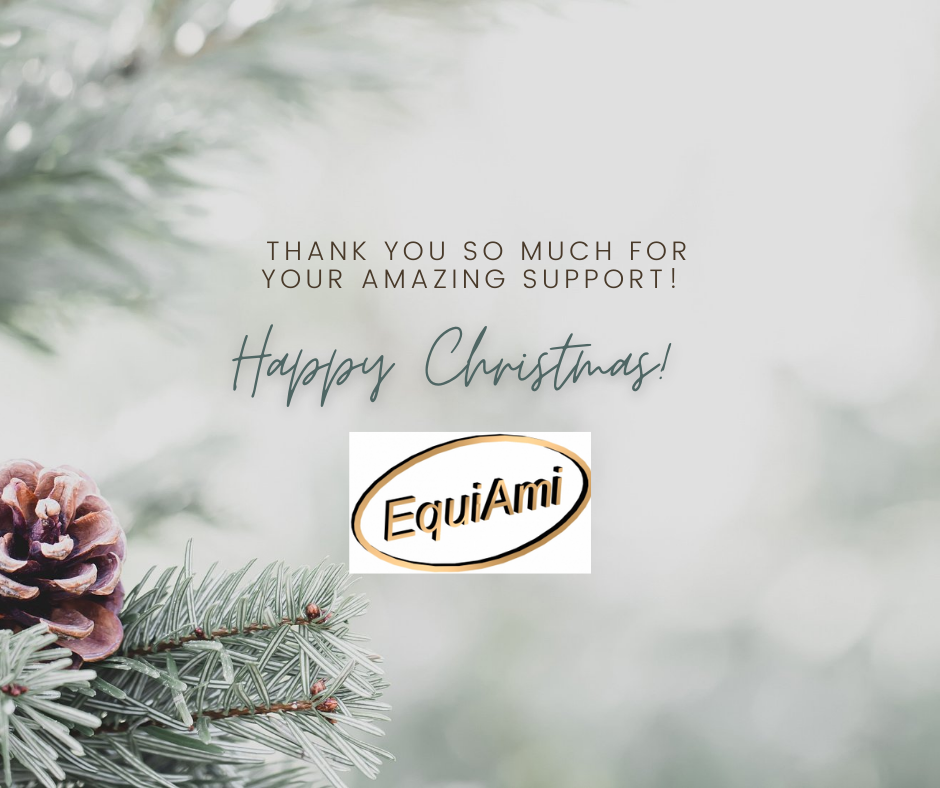 Merry Christmas from the EquiAmi team!